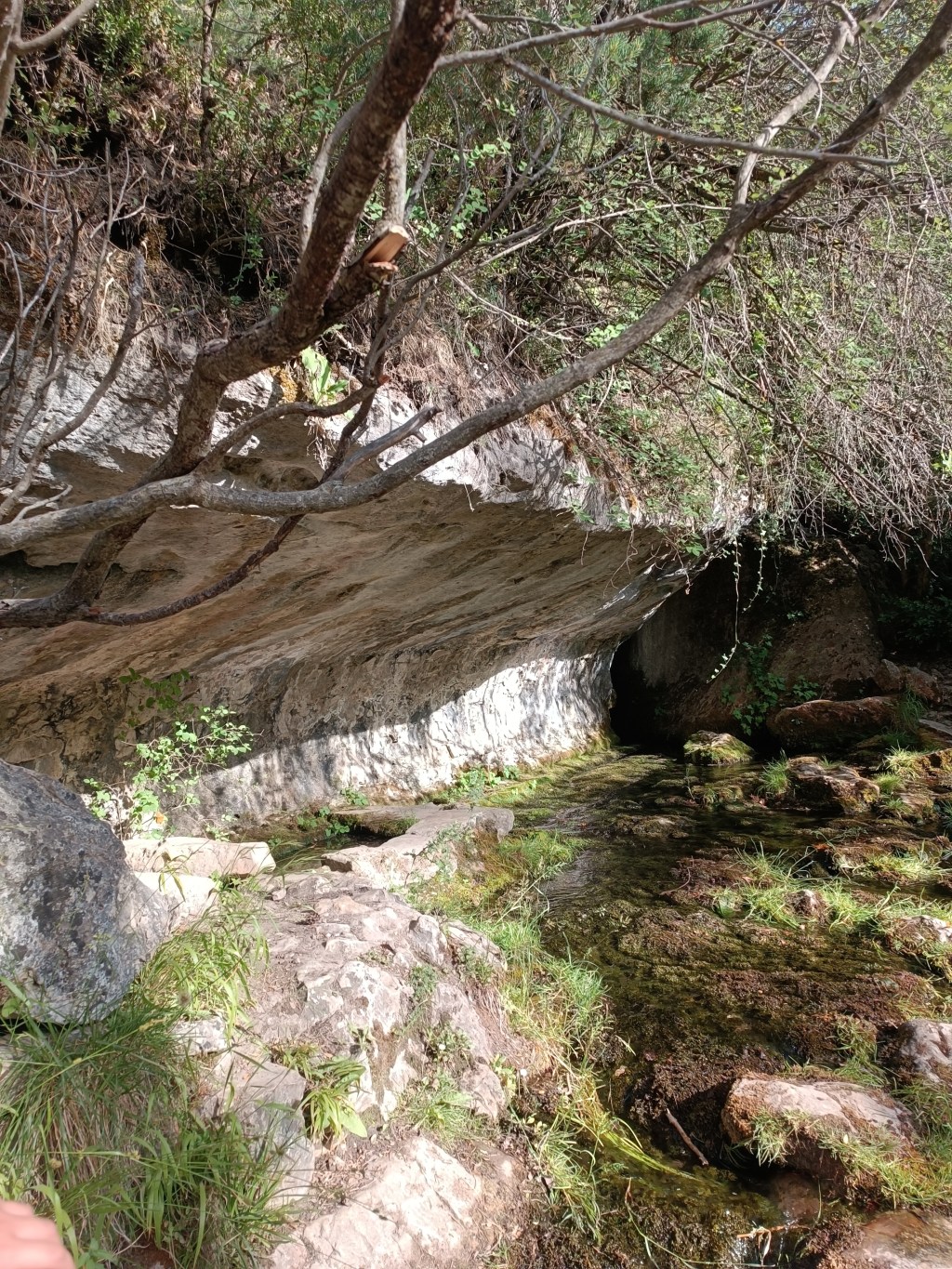 Nacimiento del río cuervo (&nbsp;Cuenca)